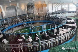 农业部推荐 3个案例,概括了当下畜牧业观光模式
